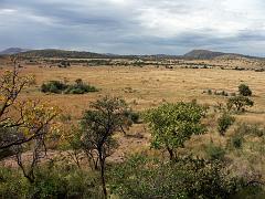 090516_Pilanesberg 040